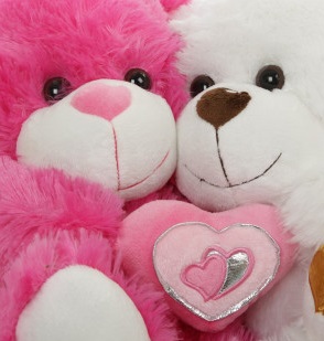 teddy bear shop online